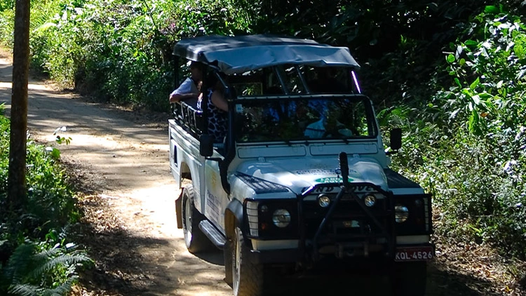 Jeep Tour em Paraty
