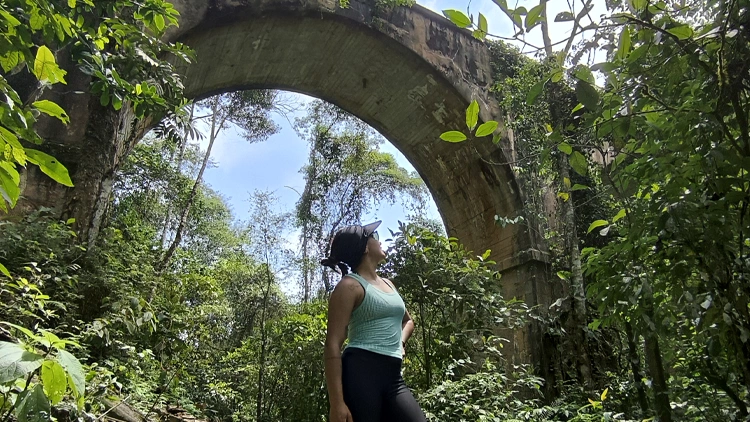 Trilha do Antigo Trem da Mata Atlântica