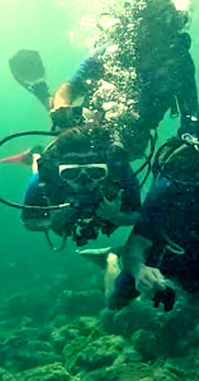 Mergulho em Angra e Ilha Grande
