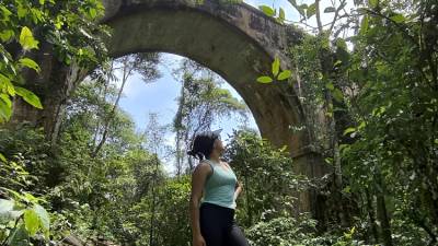 Trilha do Antigo Trem da Mata Atlântica